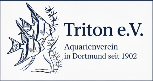 Aquarienverein Triton Dortmund e.V. | Aquarienausstellung & Beratung