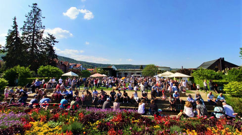 Winzerpicknick im Dürkheimer Kurpark - andere Menschen?