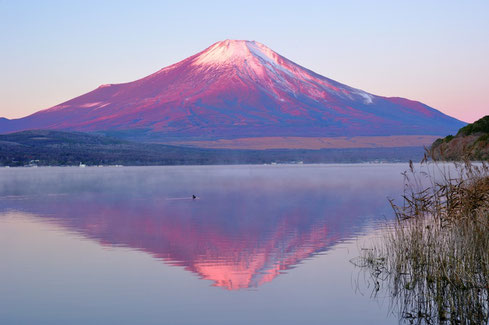 富士山の写真