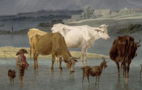 Kobell Isar cattle Bogenhausen Spitz herding dog cattledog Hütespitz