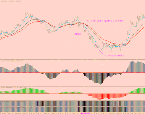   Rausch Scalping System