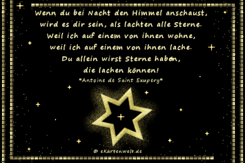 Image Result For Zitate Hund Katze Image Result For Zitate Hund Katze