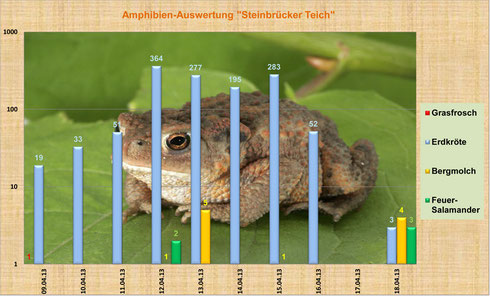 Grafik über umgesetzte Amphibien von Gerhard Schweigert