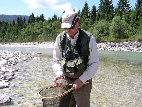 Bachforelle aus der Isar auf Köcherfliege gefangen. Die durfte wieder schwimmen.