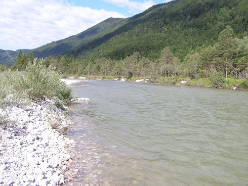 An der Isar bei Lenggries. Nach Regenfällen leicht getrübt, soll kein Nachteil sein.