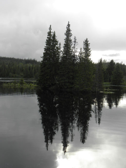 An der Tya in Sør-Trøndelag (N).