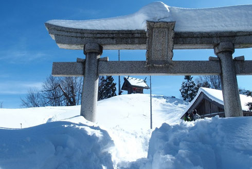 今年は積雪が少ないですね。