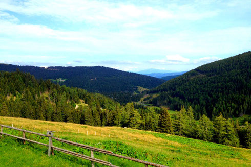 Anmerkung: Beim Klick auf das Foto gelangen Sie auf www.lachtal.at