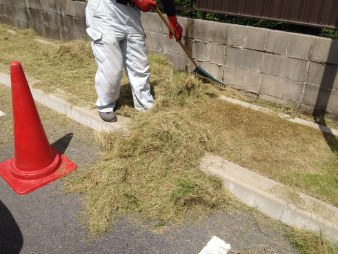 中も徐々に芝刈をし、一度芝を取り除きます。