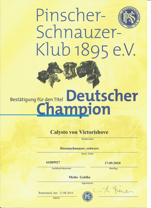 Deutscher PSK Champion Calysto von Victorishove 