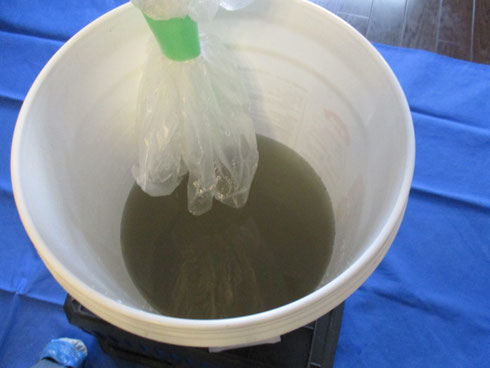 洗剤洗浄作業後