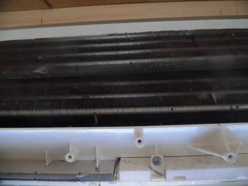 熱交換器は、ホコリやカビで黒く汚れていました。