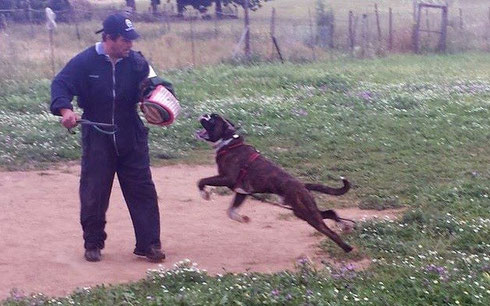 13 mesi a lavoro
