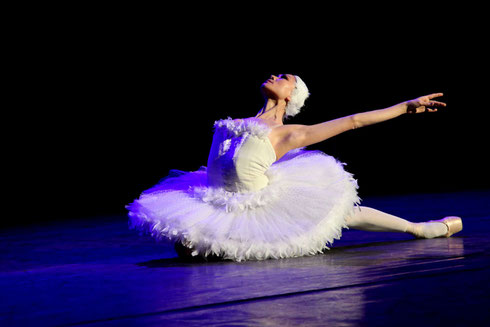 Ballett Kiel "DER STERBENDE SCHWAN" (Marina Kadyrkulova)