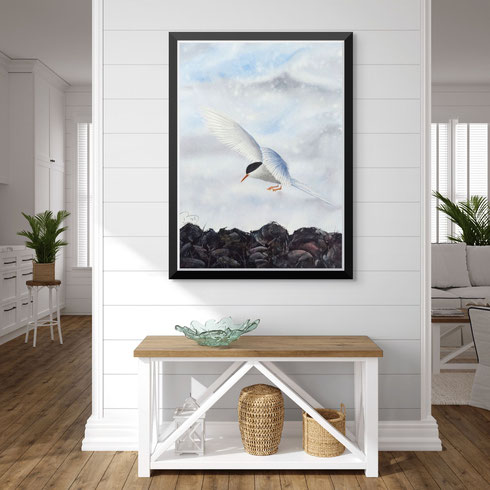 Kría, size: 26x31cm