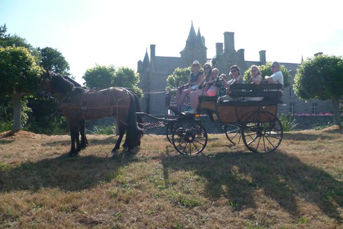 Nous faisons découvrir les allées du château!