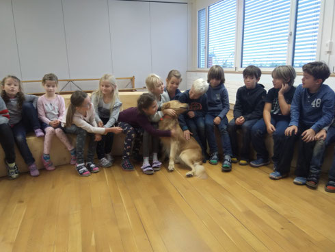 Angebote rund um den Hund