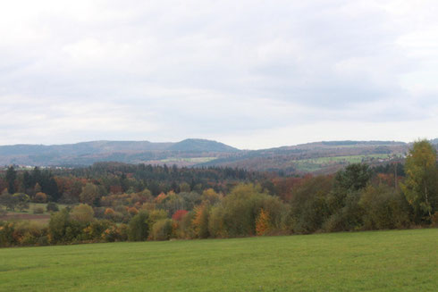 kurz vor Spielberg - Blick zurück in den Nordschwarzwald