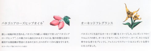 ワンクリックで拡大します