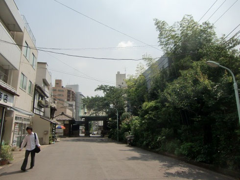 泉岳寺の参道から中門を見た風景です。右側の竹のあたりが８階建て予定地。建ったらこの空が無くなってしまいます。