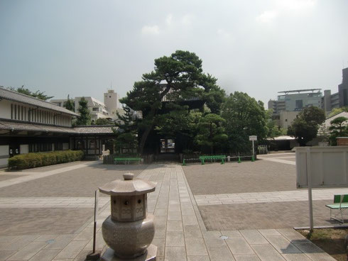 泉岳寺本堂からの風景。中央の松の奥に山門があります。そしてその向こうに８階建てが建つと、この景色は全く変わったものになってしまいます。