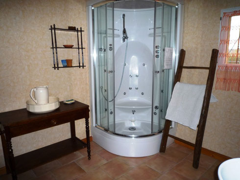 La salle de bain avec Douche hydromassage