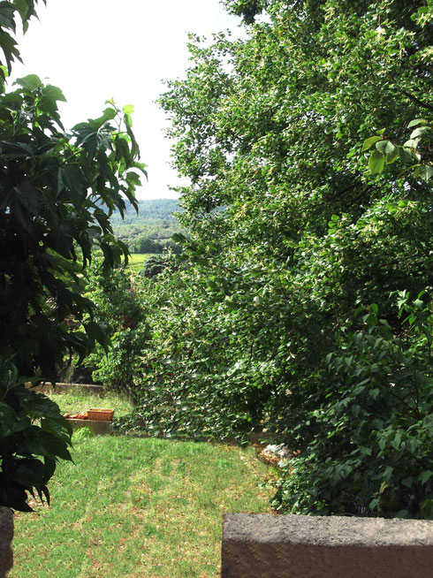 Le Gîte des Templiers Montfort/A Terrasse