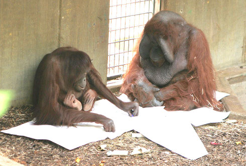 2009: Sita selig bei der Arbeit ...