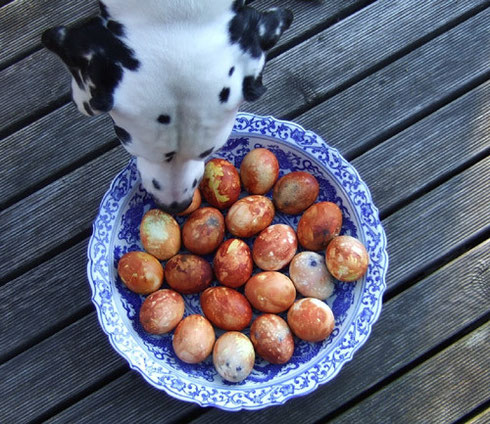 Ostergrüße kamen auch von Dietke aus Lettland