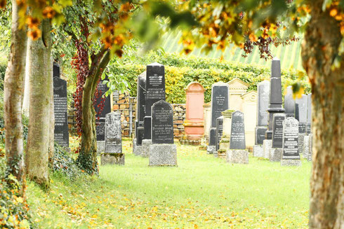 Jüdischer Friedhof in Bodenheim