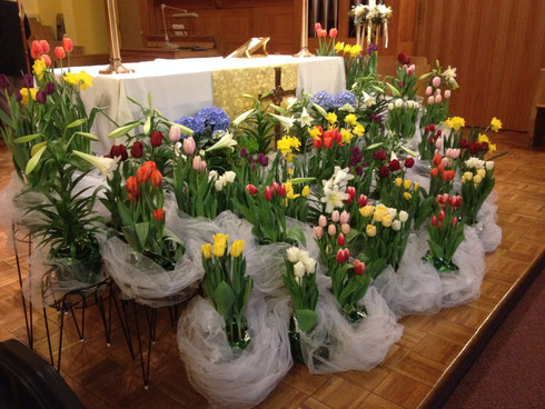 Easter Sunday 2014