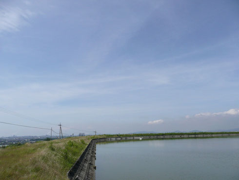 今日はイイ天気