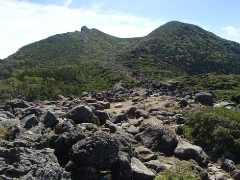 北八ヶ岳　縦横　登山　ツアー