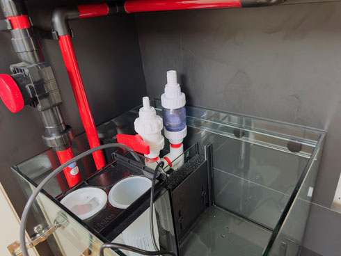 レッドシーリーファー250G2用分岐配管 - saff design サフ レッドシーリーファー250G2用分岐配管 - saff design サフ