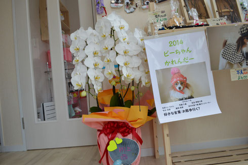 川上さん/西さんからお花をいただきました♪