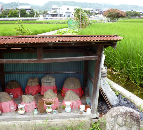 赤い前掛けのお地蔵さん。右向こうが、サルスベリ。