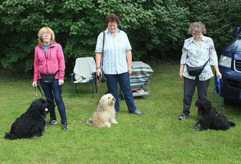 Bommel, Sally und Yeshi mit Zweibeinern