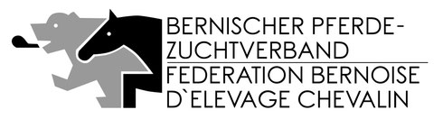 nuaeschlimanns Webseite!