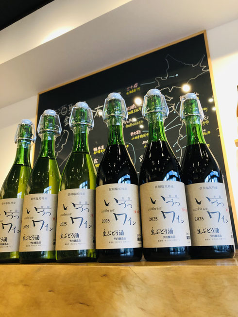 井筒ワイン　いづつ生ワイン　日本ワイン