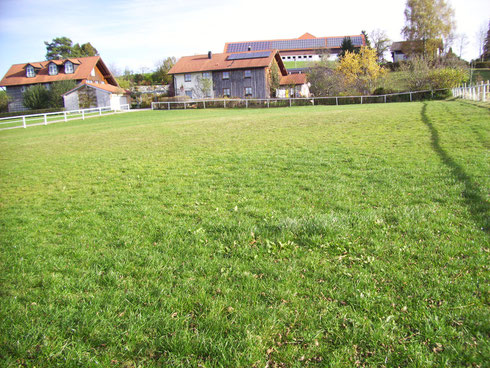 Allroundplatz zum Reiten, Longieren & Fahren