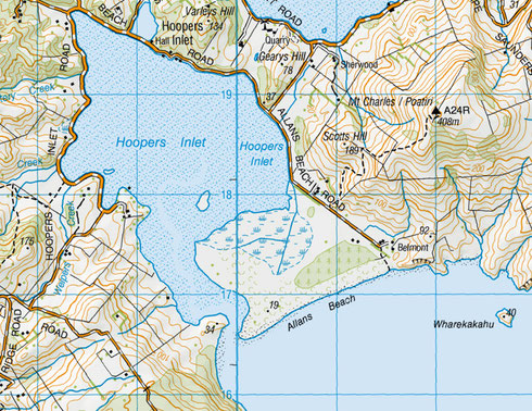 Allans Beach and Hooper's Inlet (NZ Topo Map)