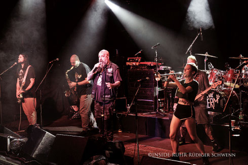 Die US-Band Public Serpents spielt live in der Zeche Bochum – Sänger, Gitarrist, Saxofonist und Trompeterin sorgen mit energiegeladenem Ska-Punk für Stimmung beim Publikum.