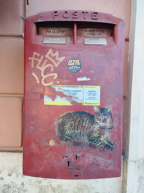 Di solito nei film americani si vedono i poveri postini inseguiti dai cani che puntano alle loro caviglie; sarà per questo che sulla buca delle lettere di fronte al Colosseo c'è invece un bel gattone?