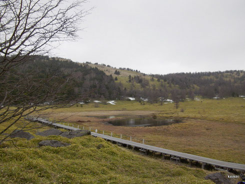 湯の丸高原　篭ノ登山　池の平湿原