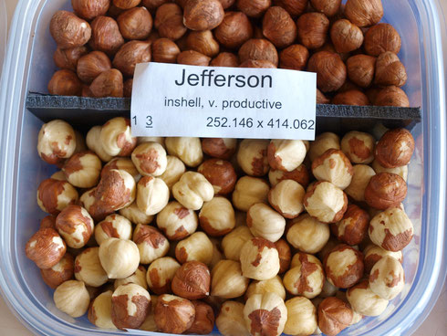 Jefferson nuts before and after blanching