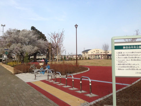 勝田台中央公園