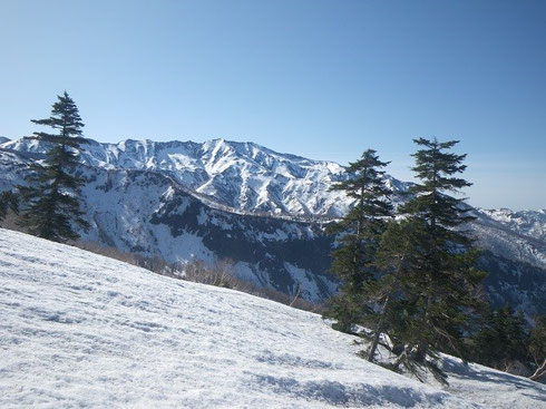 別山。(1700M付近?より)