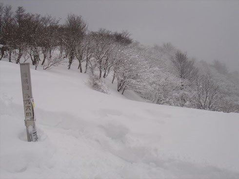 奥の方にぼんやり見える尾根を下った