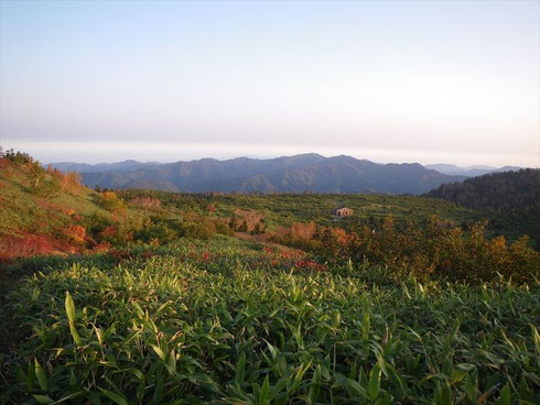小桜平避難小屋