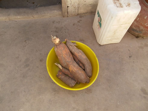 Cassava/ Maniok